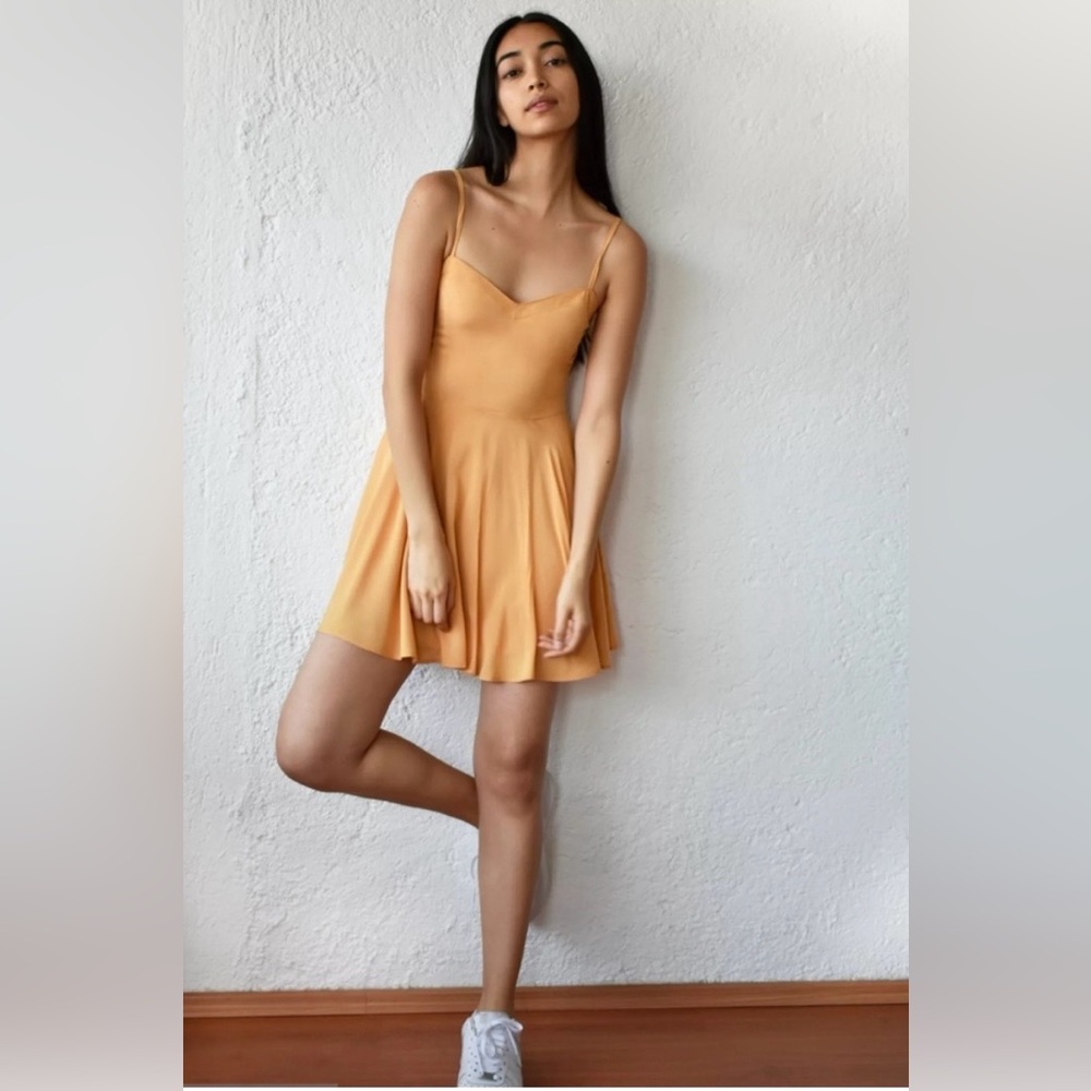 Aritzia Talula Lipinski Skater Dress 2